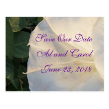 Moonflower sparen de Datum past om het even welke  Wens Kaarten