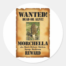 Morelle - affiche voulue autocollants