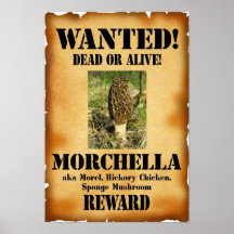 Morelle - morts ou vivant voulus posters