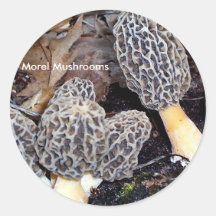 Morelles grises, champignons de morelle autocollants ronds