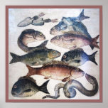 MOSAÏQUES ROMAINES ANTIQUES, POISSONS, SCÈNE DE VI AFFICHES