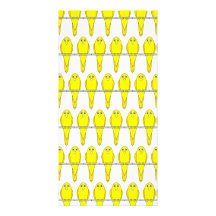 Motif jaune d'oiseau. Les Canaries Cartes Avec Photo