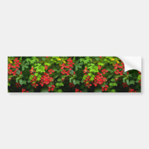 Motifs de nature adhésif pour voiture
