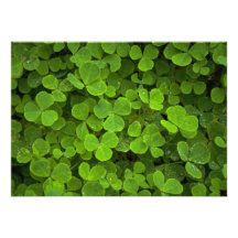 Motifs de nature faire-parts