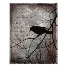 Mots de corneille photographies