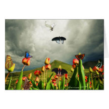 Motten & Tulpen Kaarten