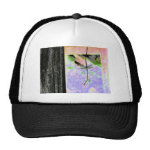 Mouche de dragon casquettes de camionneur