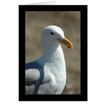 Mouette Carte De Vœux