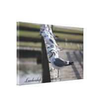 Mouette de photo toiles tendues