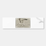 Mouette fâchée autocollants pour voiture