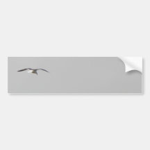 Mouette flottant dans un ciel gris adhésif pour voiture