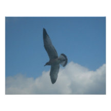 mouette invitations