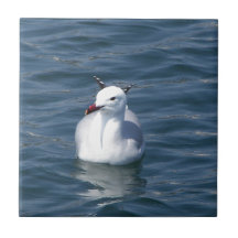 Mouette sur l'eau carreaux en céramique