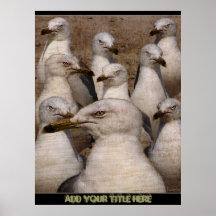 Mouettes avides de Scavaging - affiche/copie