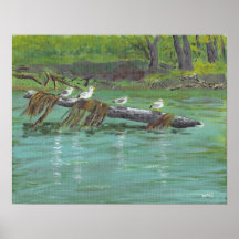 Mouettes du fleuve Mississippi Posters