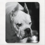 Mousepad blanc de chien de boxeur tapis de souris