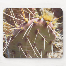 Mousepad de cactus tapis de souris