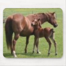 mousepad de cheval tapis de souris