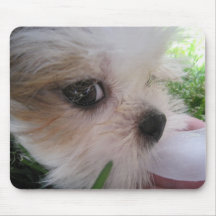 mousepad de chiot tapis de souris