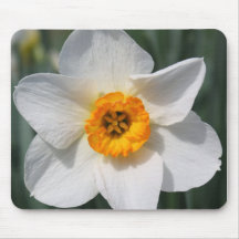 mousepad de daffoldil tapis de souris