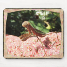 Mousepad de ~ de la mante 65 tapis de souris