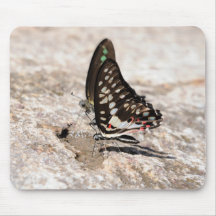 Mousepad de papillon tapis de souris
