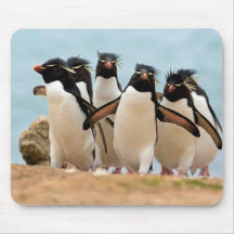 Mousepad de pingouins de Rockhopper Tapis De Souris