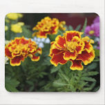 mousepad de souci tapis de souris
