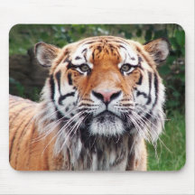 Mousepad de tigre sibérien tapis de souris