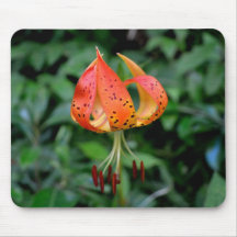 Mousepad - lis de la Caroline Tapis De Souris
