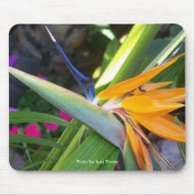 Mousepad/oiseau du paradis tapis de souris