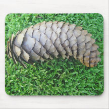 Mousepad pommes de pin sur la mousse tapis de souris