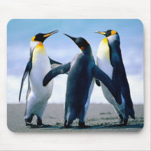 Mousepads Tapis De Souris