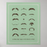 Moustaches célèbres