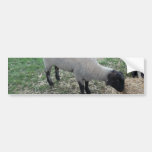 Moutons Autocollant Pour Voiture