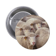 Moutons Badge Avec Épingle