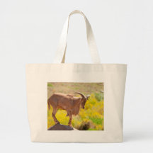 Moutons de Barbarie Sac