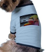 mouvement circulaire t-shirt pour animal domestique
