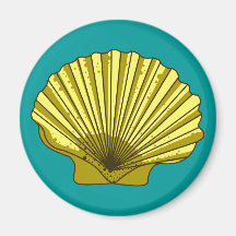 Muschel shell magnets