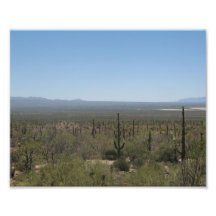 Musée de désert de Sonora Photographies D’art