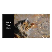 Musique et carte photo de chats photocarte customisée