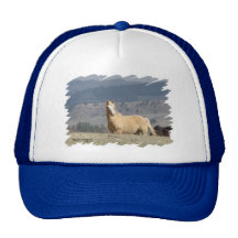 Mustang de chapeaux de cheval casquettes de camionneur