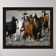 Mustangen Afdruk