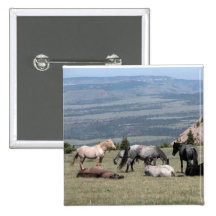 Mustangs Pin's