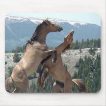 Mustangs Tapis De Souris