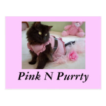 n rose purrty, carte postale