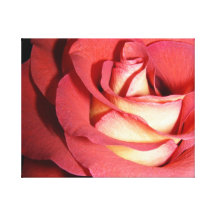 Nam toe stretched canvas print