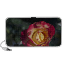 Nam toe laptop speaker