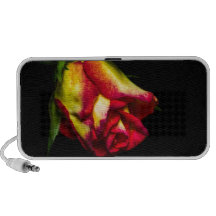 Nam toe speaker