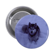 nanook badges